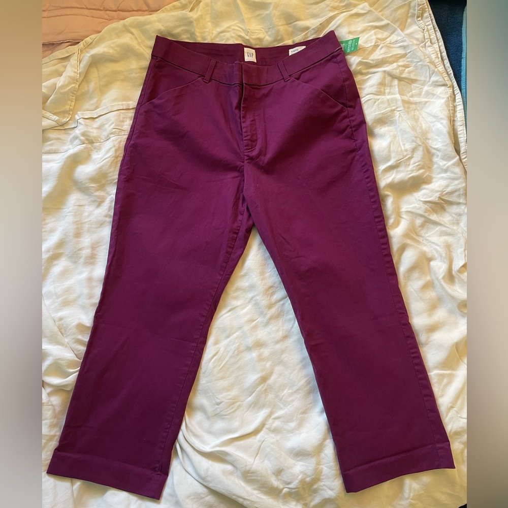 NWT GAP High Rise Slim Ankle Khakis in Purple Huckleberry, 12 Petite